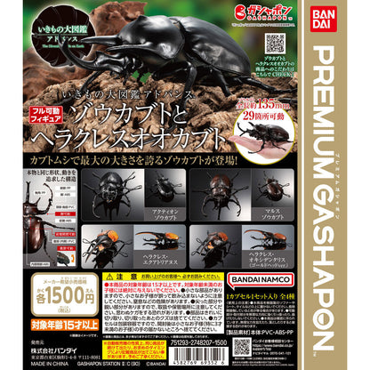 The Diversity of Life on Earth Elephant Beetles and Hercules Beetles Bandai Premium Gashapon Toys