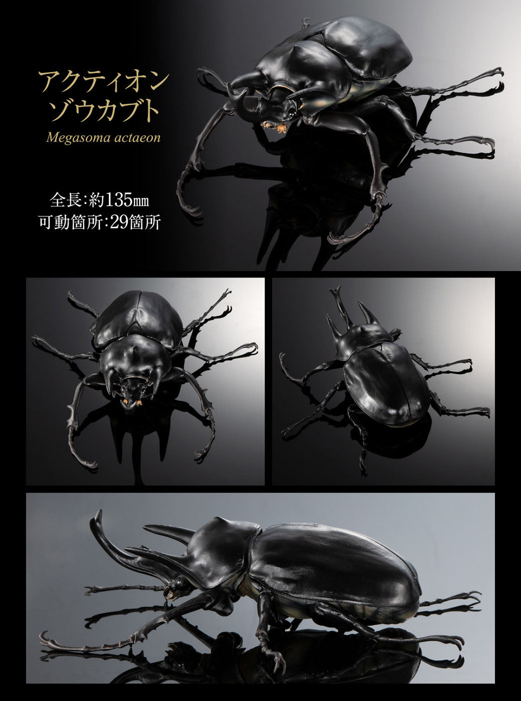 The Diversity of Life on Earth Elephant Beetles and Hercules Beetles Bandai Premium Gashapon Toys Megasoma Actaeon