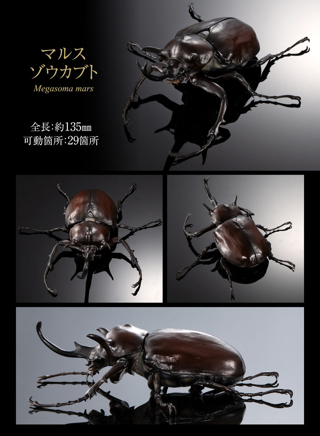 The Diversity of Life on Earth Elephant Beetles and Hercules Beetles Bandai Premium Gashapon Toys Megasoma Mars