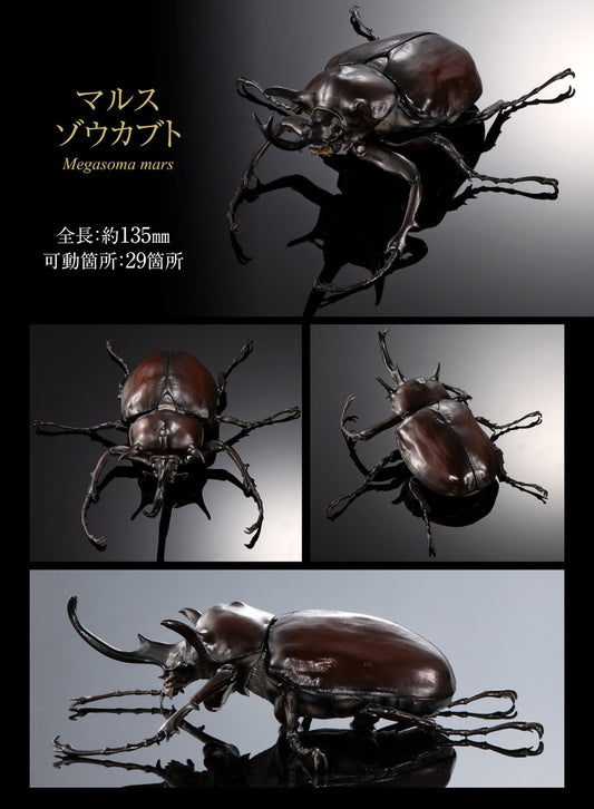 The Diversity of Life on Earth Elephant Beetles and Hercules Beetles Bandai Premium Gashapon Toys Megasoma Mars