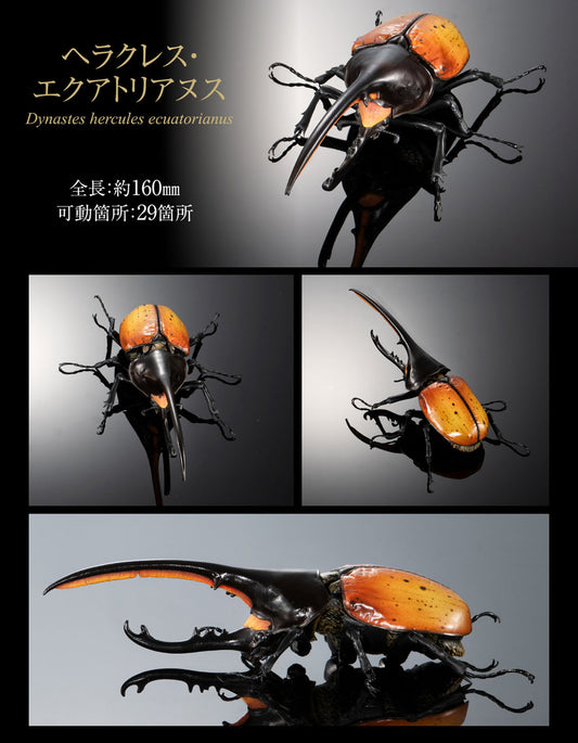 The Diversity of Life on Earth Elephant Beetles and Hercules Beetles Bandai Premium Gashapon Toys Dynastes Hercules Ecuatorianus