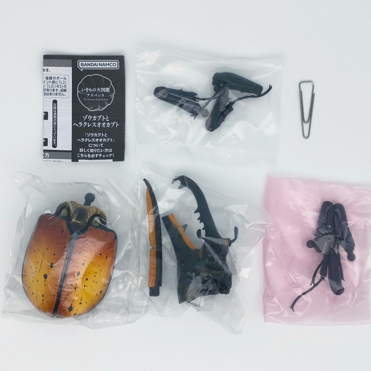 The Diversity of Life on Earth Elephant Beetles and Hercules Beetles Bandai Premium Gashapon Toys Dynastes Hercules Ecuatorianus