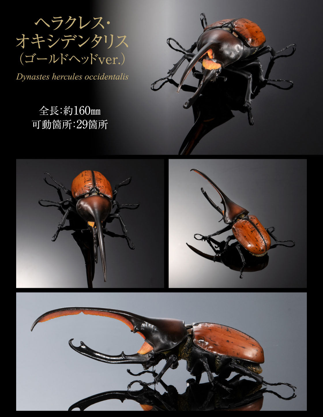 The Diversity of Life on Earth Elephant Beetles and Hercules Beetles Bandai Premium Gashapon Toys Dynastes Hercules Occidentalis