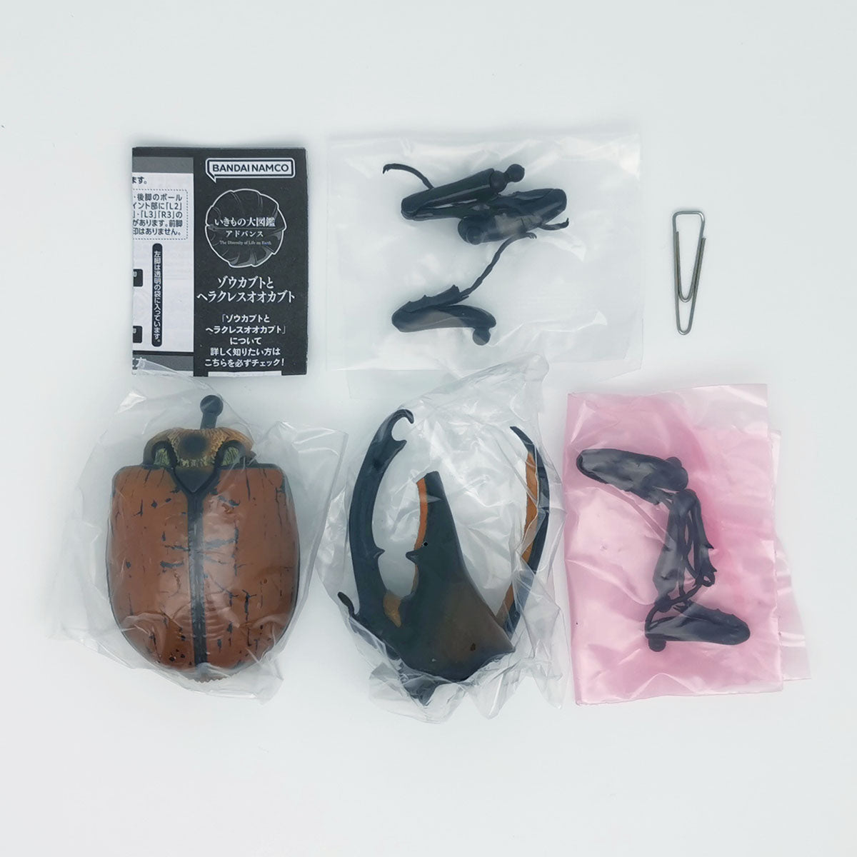 The Diversity of Life on Earth Elephant Beetles and Hercules Beetles Bandai Premium Gashapon Toys Dynastes Hercules Occidentalis