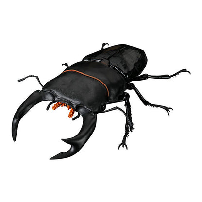 The Diversity of Life on Earth Stag Beetles Vol 2 Bandai Premium Gashapon Toys Dorcus Hopei Binodulosus