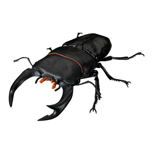 The Diversity of Life on Earth Stag Beetles Vol 2 Bandai Premium Gashapon Toys Dorcus Hopei Binodulosus