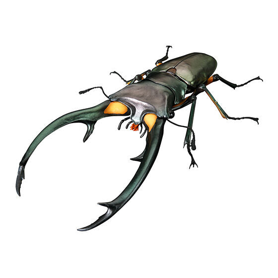 The Diversity of Life on Earth Stag Beetles Vol 2 Bandai Premium Gashapon Toys Cyclommatus Elaphus Green