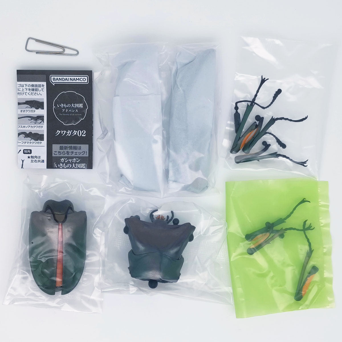The Diversity of Life on Earth Stag Beetles Vol 2 Bandai Premium Gashapon Toys Cyclommatus Elaphus Green
