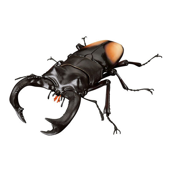 The Diversity of Life on Earth Stag Beetles Vol 2 Bandai Premium Gashapon Toys Hexarthrius Parryi