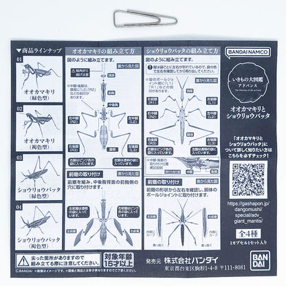 The Diversity of Life on Earth Giant Mantis and Oriental Long-headed Grasshopper Bandai Premium Gashapon Toys