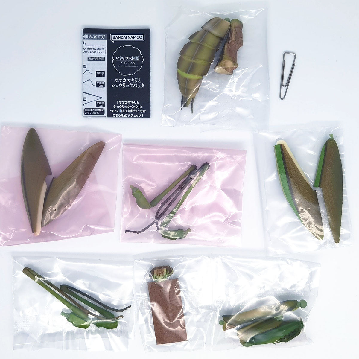 The Diversity of Life on Earth Giant Mantis and Oriental Long-headed Grasshopper Bandai Premium Gashapon Toys