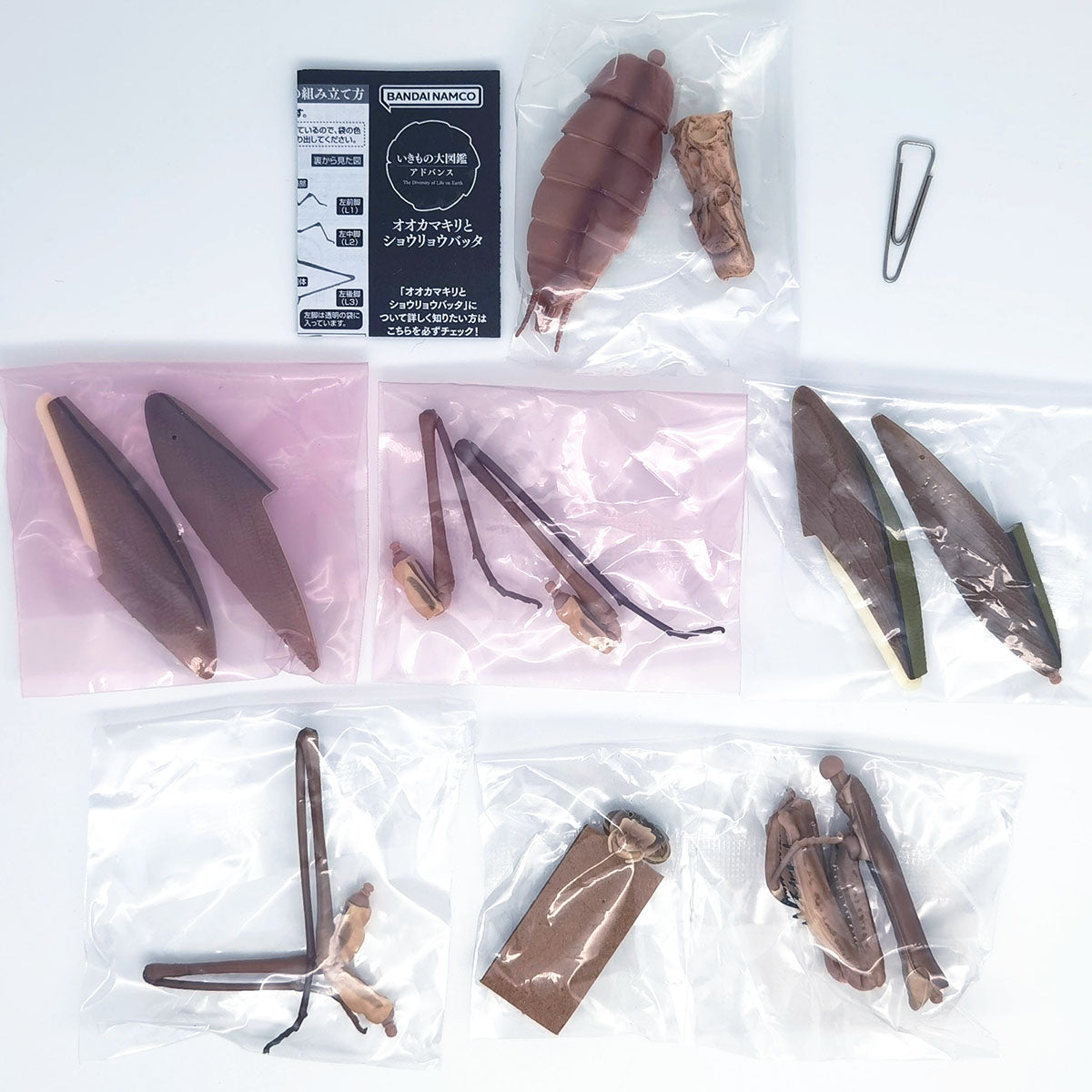 The Diversity of Life on Earth Giant Mantis and Oriental Long-headed Grasshopper Bandai Premium Gashapon Toys