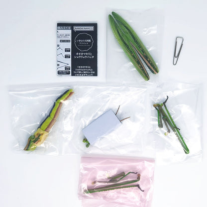 The Diversity of Life on Earth Giant Mantis and Oriental Long-headed Grasshopper Bandai Premium Gashapon Toys
