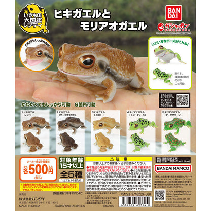 The Diversity of Life on Earth Toads and Forest Green Tree Frogs Bandai Gashapon Toys