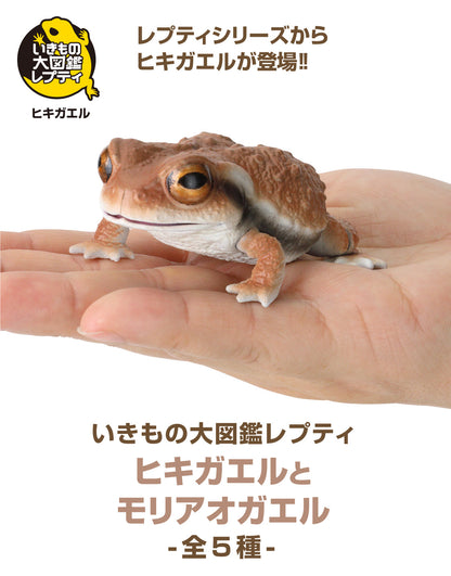 The Diversity of Life on Earth Toads and Forest Green Tree Frogs Bandai Gashapon Toys