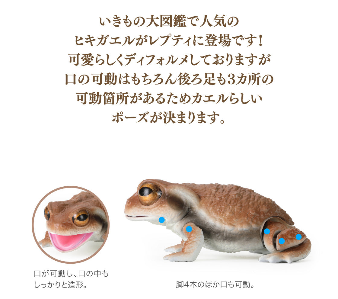 The Diversity of Life on Earth Toads and Forest Green Tree Frogs Bandai Gashapon Toys