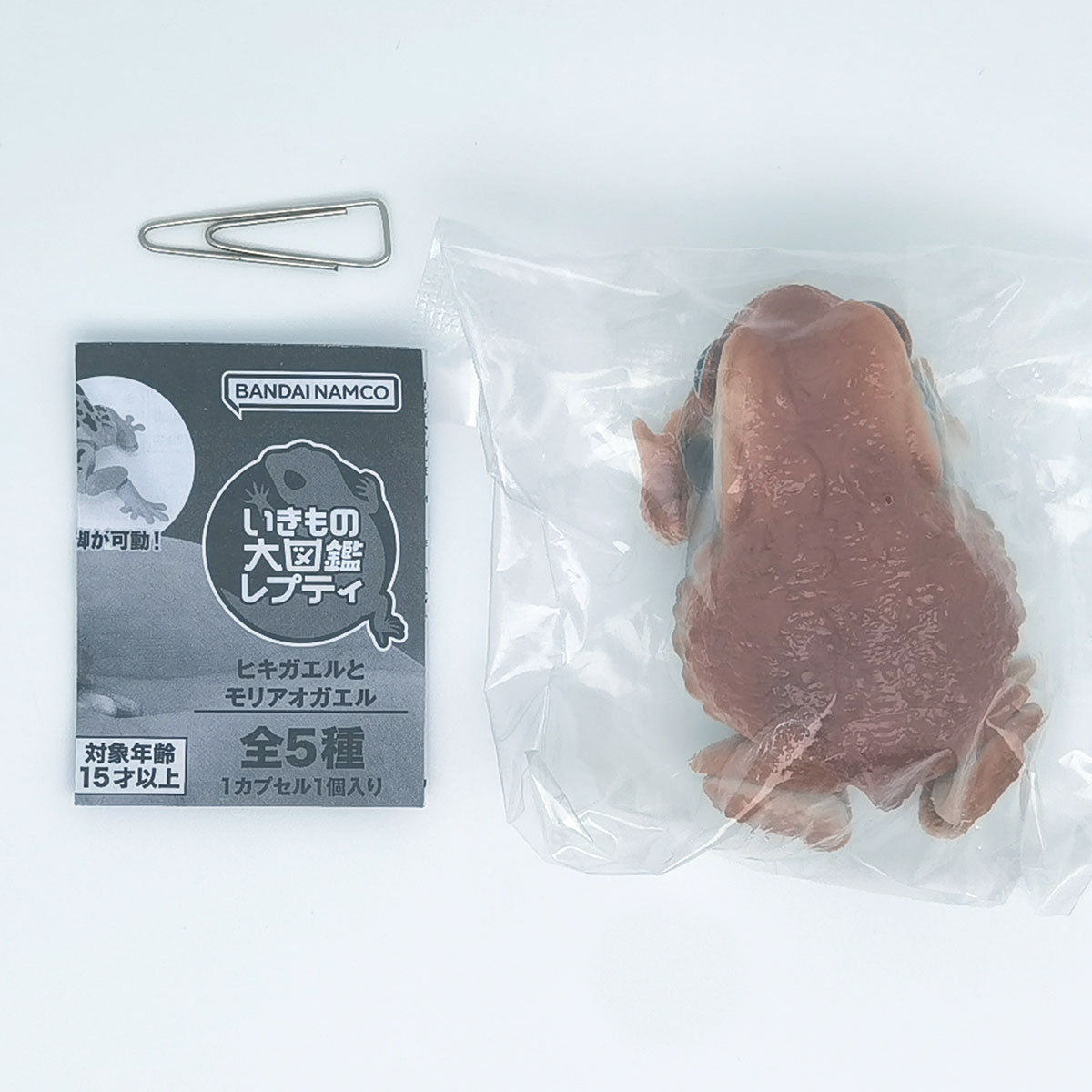 The Diversity of Life on Earth Toads and Forest Green Tree Frogs Bandai Gashapon Toys Red
