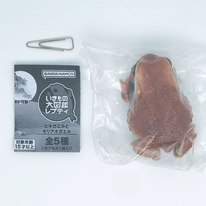 The Diversity of Life on Earth Toads and Forest Green Tree Frogs Bandai Gashapon Toys Red