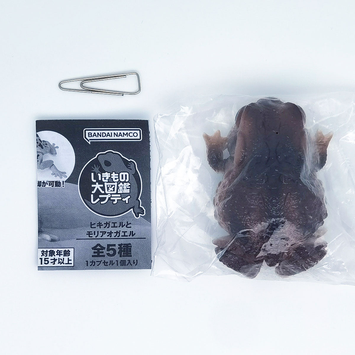 The Diversity of Life on Earth Toads and Forest Green Tree Frogs Bandai Gashapon Toys Dark Brown