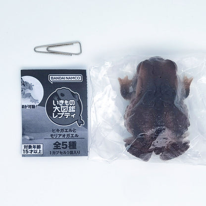 The Diversity of Life on Earth Toads and Forest Green Tree Frogs Bandai Gashapon Toys Dark Brown