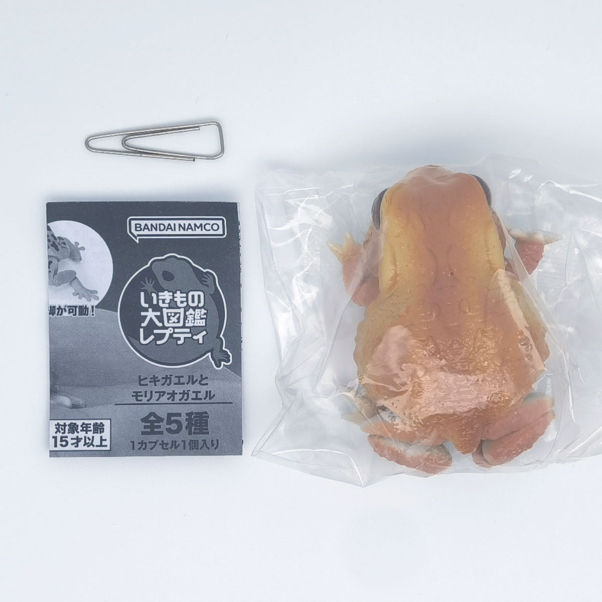 The Diversity of Life on Earth Toads and Forest Green Tree Frogs Bandai Gashapon Toys Yellow