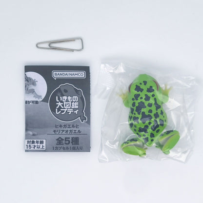 The Diversity of Life on Earth Toads and Forest Green Tree Frogs Bandai Gashapon Toys Light Green
