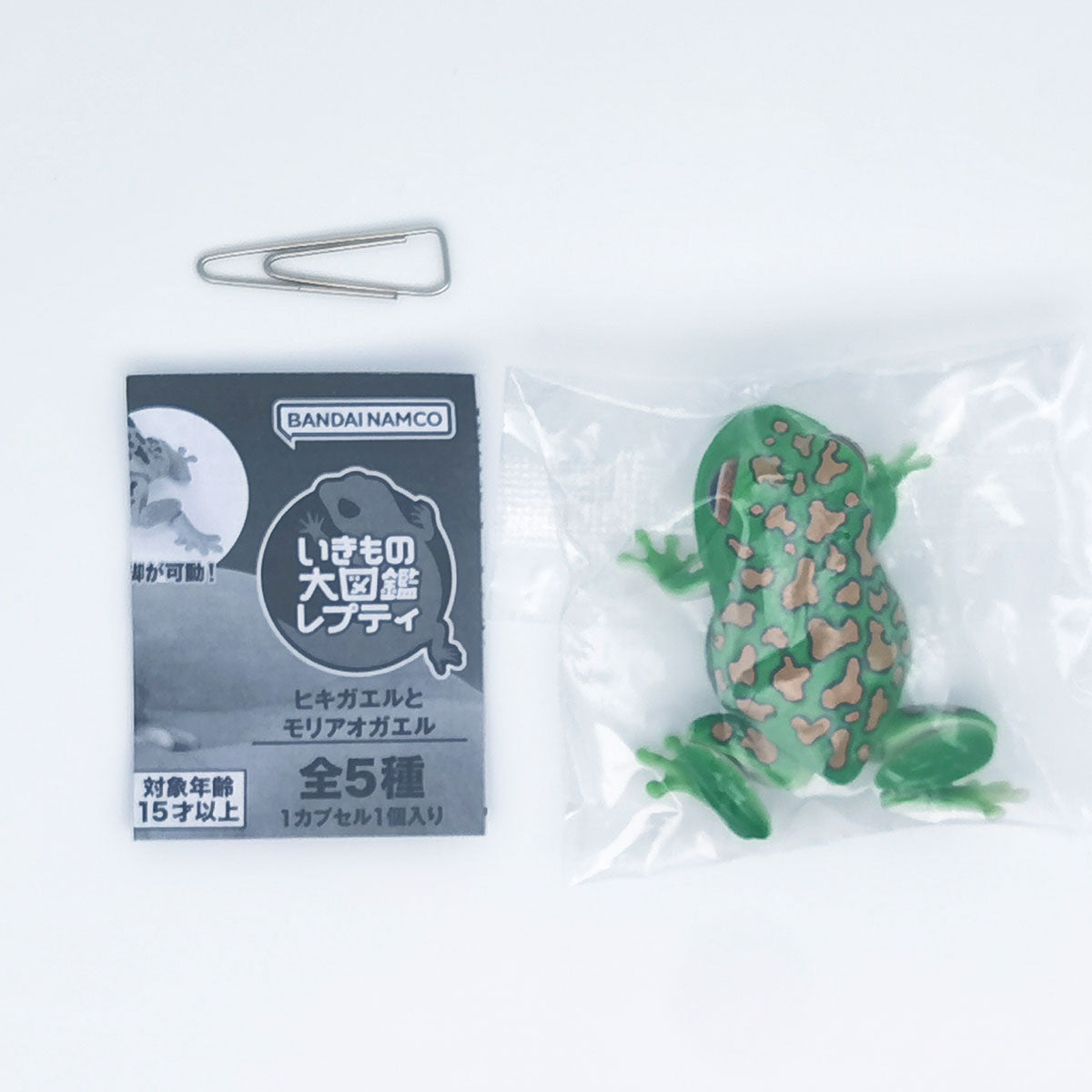 The Diversity of Life on Earth Toads and Forest Green Tree Frogs Bandai Gashapon Toys Dark Green