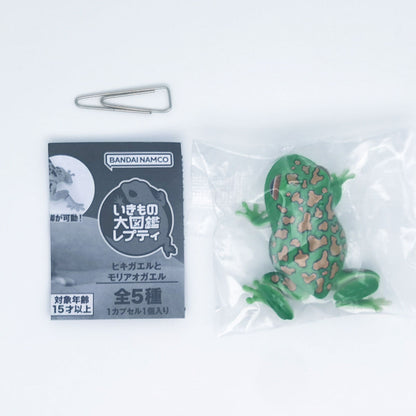 The Diversity of Life on Earth Toads and Forest Green Tree Frogs Bandai Gashapon Toys Dark Green