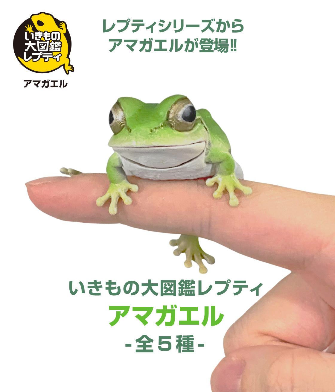 The Diversity of Life on Earth Tree Frog Bandai Gashapon Toys