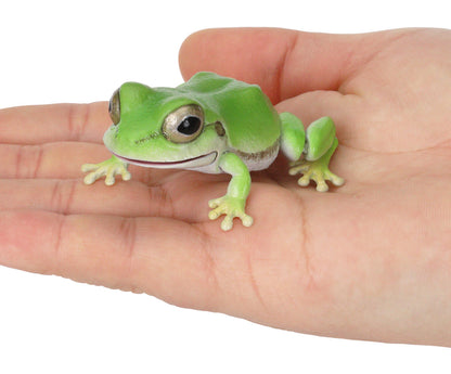 The Diversity of Life on Earth Tree Frog Bandai Gashapon Toys