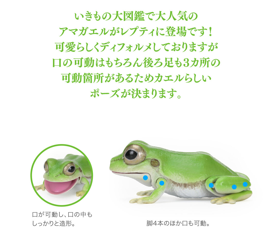 The Diversity of Life on Earth Tree Frog Bandai Gashapon Toys