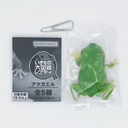 The Diversity of Life on Earth Tree Frog Bandai Gashapon Toys Green