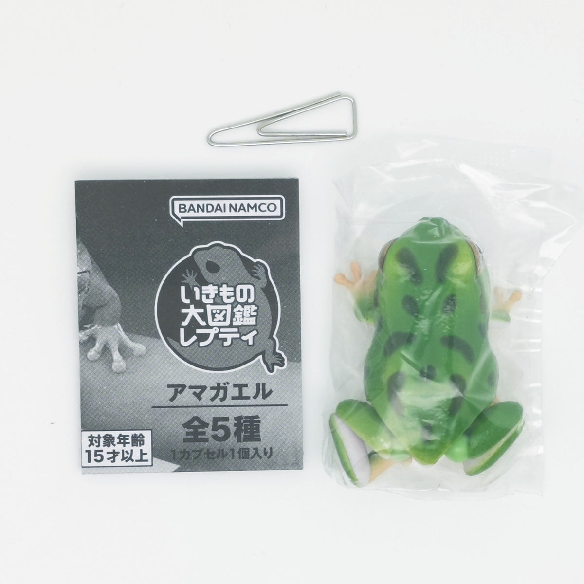 The Diversity of Life on Earth Tree Frog Bandai Gashapon Toys Mottled Green