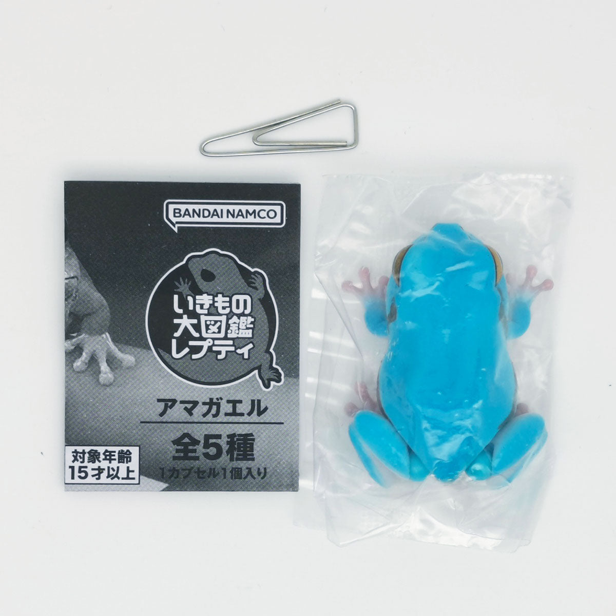 The Diversity of Life on Earth Tree Frog Bandai Gashapon Toys Blue