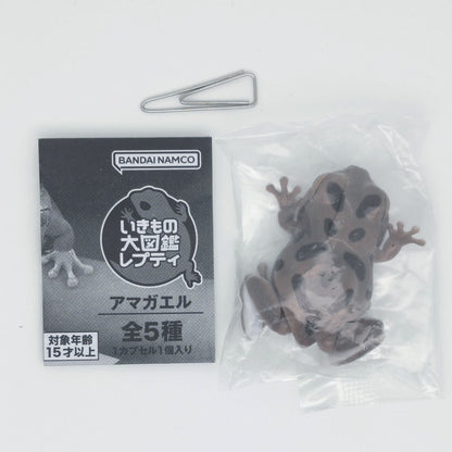 The Diversity of Life on Earth Tree Frog Bandai Gashapon Toys Mottled Gray