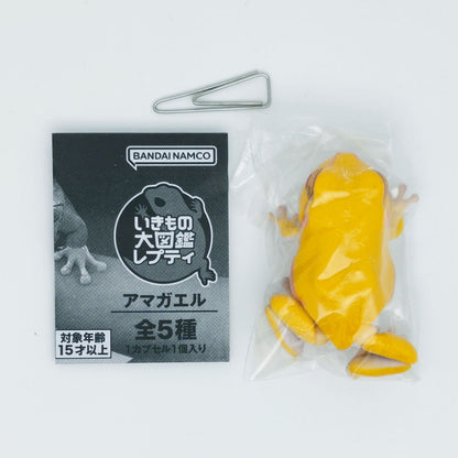 The Diversity of Life on Earth Tree Frog Bandai Gashapon Toys Albino Yellow