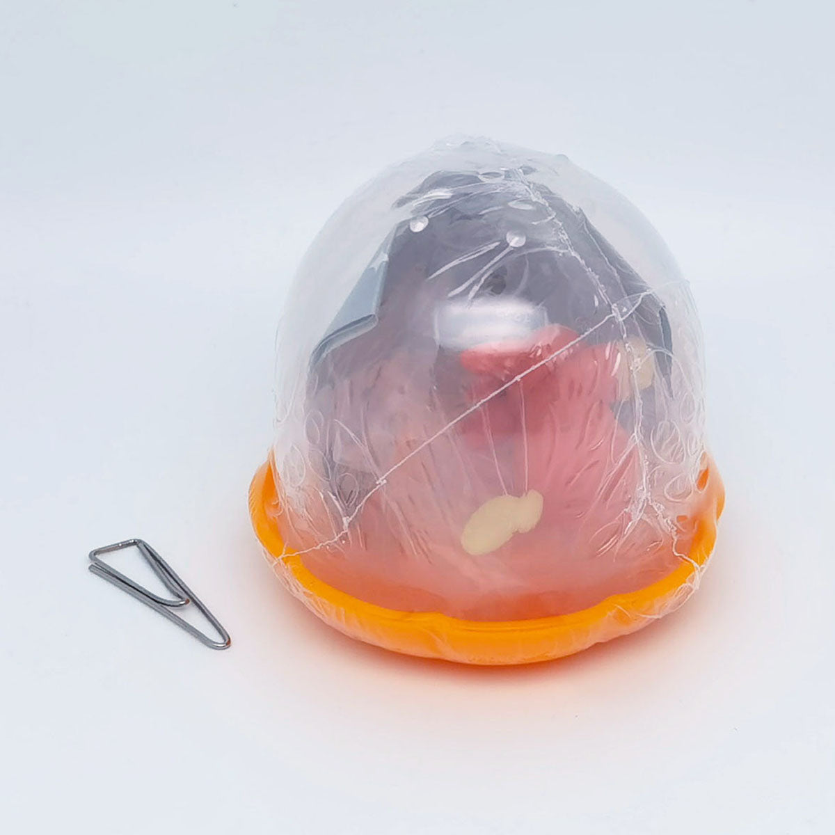 Pokemon Figure Gemries Jewelry Holder Vol 7 Bandai Gashapon Toys Pawmi